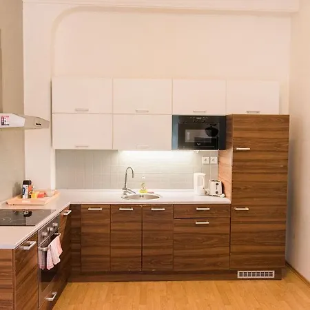 Apartamento Lion In Historical Center, Old Town *