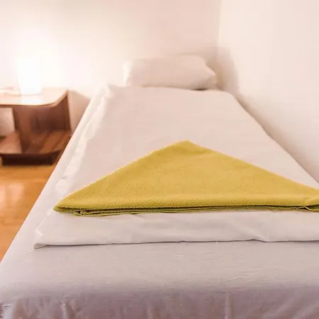 Lion In Historical Center, Old Town Bratysława