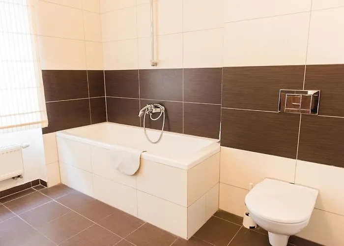 Lion In Historical Center, Old Town *