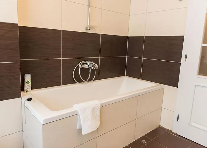 Lion In Historical Center, Old Town *