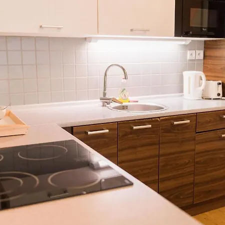 Apartamento Lion In Historical Center, Old Town