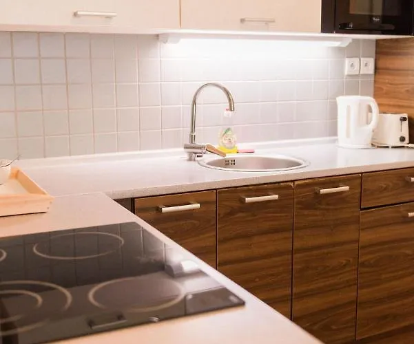 Apartman Lion In Historical Center, Old Town