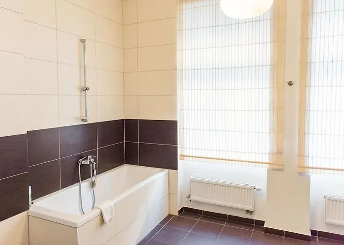 Lion In Historical Center, Old Town * Pozsony