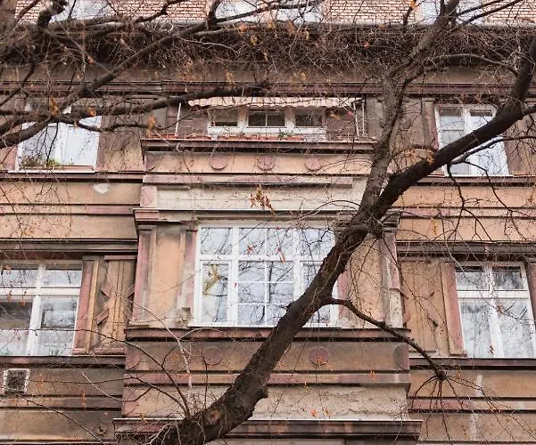 Lion In Historical Center, Old Town *