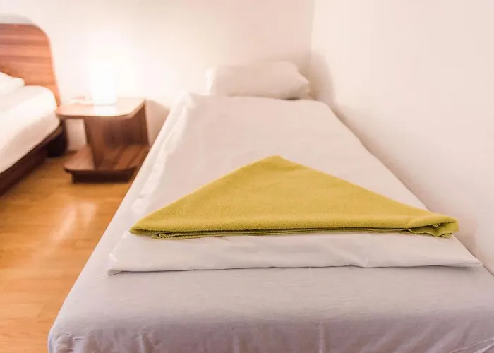 Lion In Historical Center, Old Town Pozsony