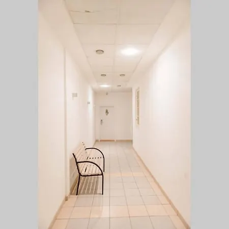 Lion In Historical Center, Old Town